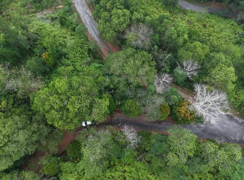 Residential Land for Sale in Bentong (Pahang) - Kelvin Lian - PropertyGuru.com.my