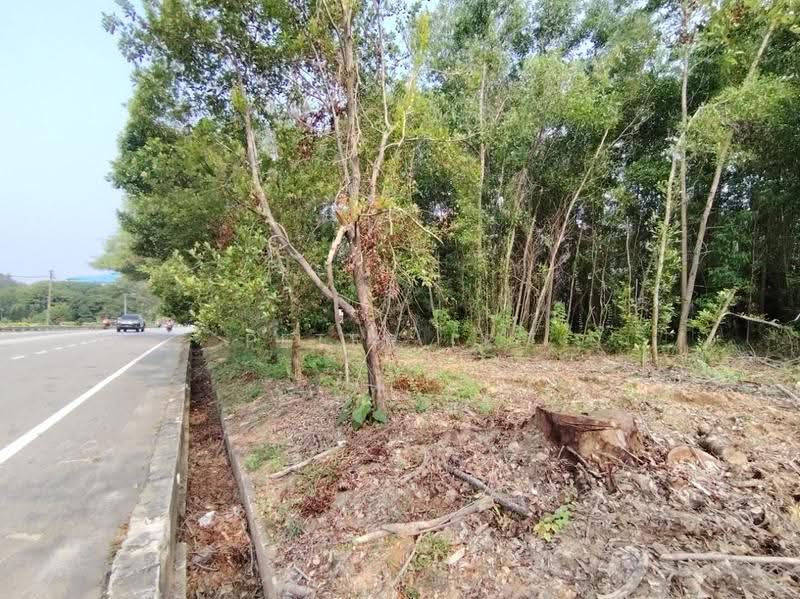 Commercial Land for Sale in Sungai Putat (Batu Berendam) - Peter Lee - PropertyGuru.com.my
