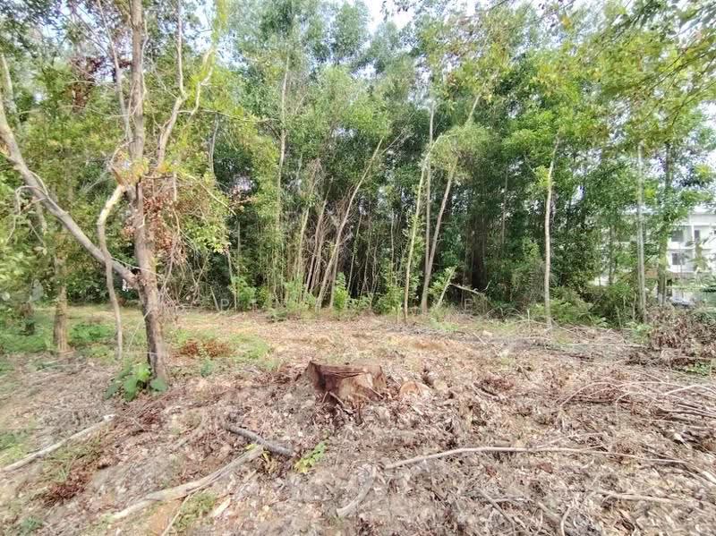 Commercial Land for Sale in Sungai Putat (Batu Berendam) - Peter Lee - PropertyGuru.com.my