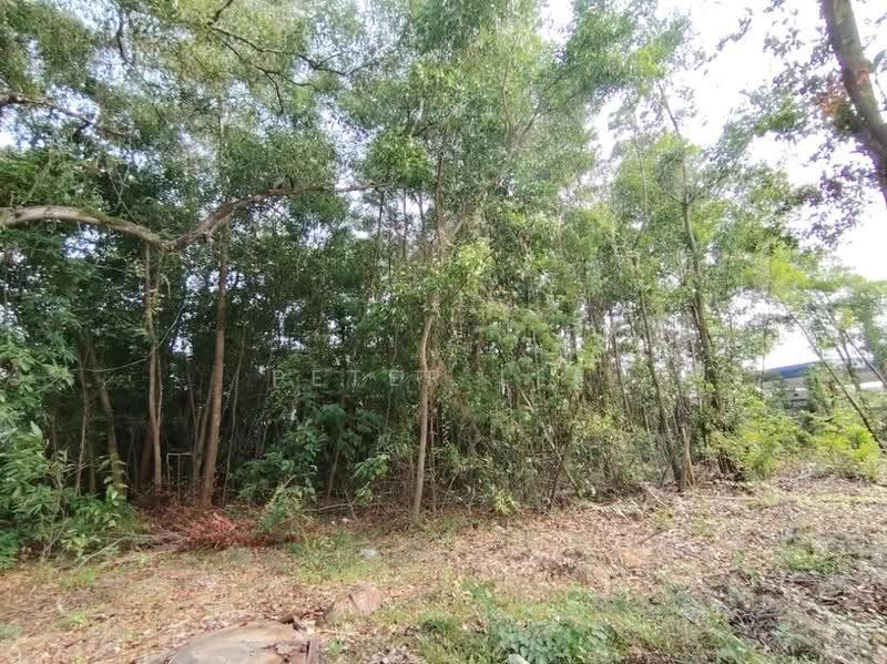 Commercial Land for Sale in Sungai Putat (Batu Berendam) - Peter Lee - PropertyGuru.com.my