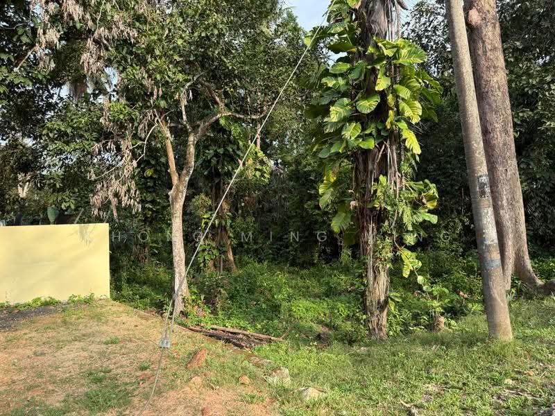 Agricultural Land for Sale in Rantau (Negeri Sembilan) - Chong Ming Ming - Exterior - PropertyGuru.com.my