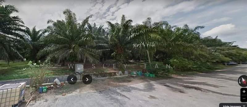 Tanah Pertanian untuk Dijual di Jasin (Melaka) - Wesley Tan - PropertyGuru.com.my