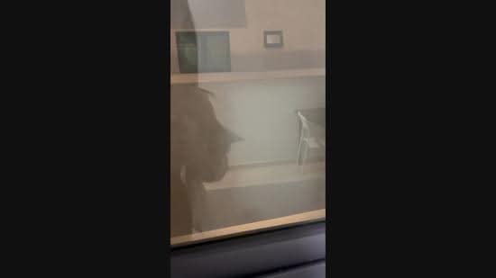 Condominium for Rent at Parkhill Residence - Jasminn Tan - PropertyGuru.com.my
