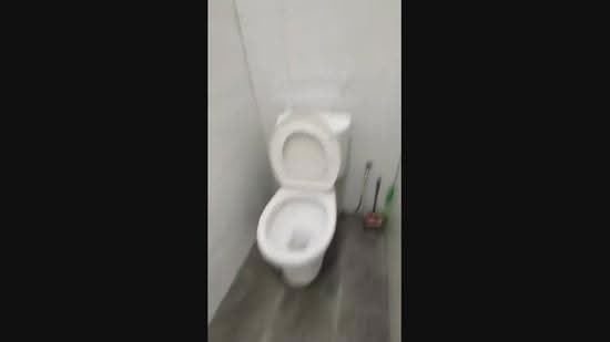 Rumah Teres 2-Tingkat untuk Disewa di Pjs 10 (Sunway) - Carlos Ng - PropertyGuru.com.my