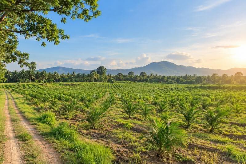 Tanah Perindustrian untuk Dijual di Valdor (Sungai Jawi) - Leon Ng - PropertyGuru.com.my