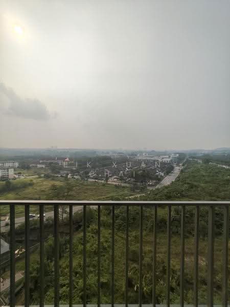 View