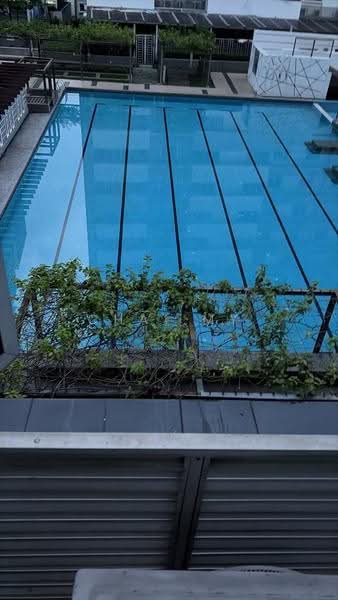 Kediaman Servis untuk Dijual di Koi Kinrara - CHAI MY - Pool - PropertyGuru.com.my