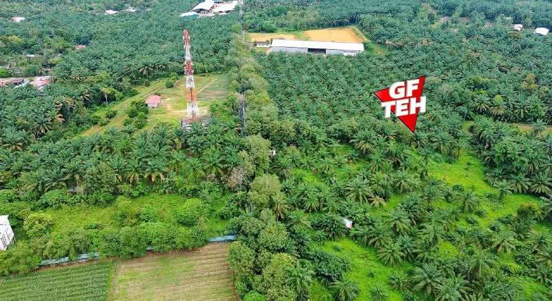 Agricultural Land for Sale in Bukit Mertajam (Penang) - Teh Guan Fong - PropertyGuru.com.my
