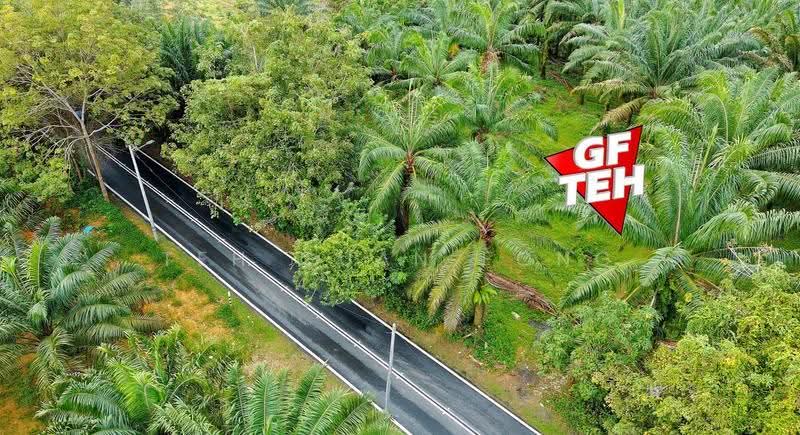 Agricultural Land for Sale in Bukit Mertajam (Penang) - Teh Guan Fong - PropertyGuru.com.my