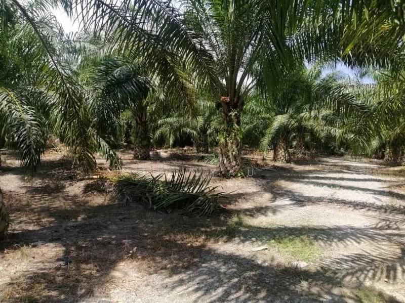 Tanah Perindustrian untuk Dijual di Sungai Siput (Perak) - Ck Nyau - Exterior - PropertyGuru.com.my