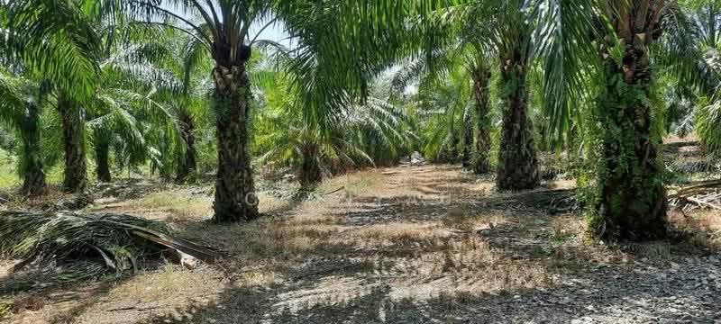 Tanah Perindustrian untuk Dijual di Sungai Siput (Perak) - Ck Nyau - PropertyGuru.com.my