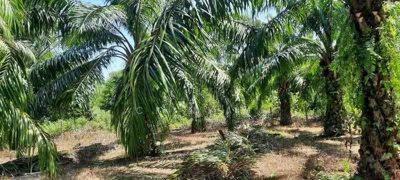 Tanah Perindustrian untuk Dijual di Sungai Siput (Perak) - Ck Nyau - PropertyGuru.com.my