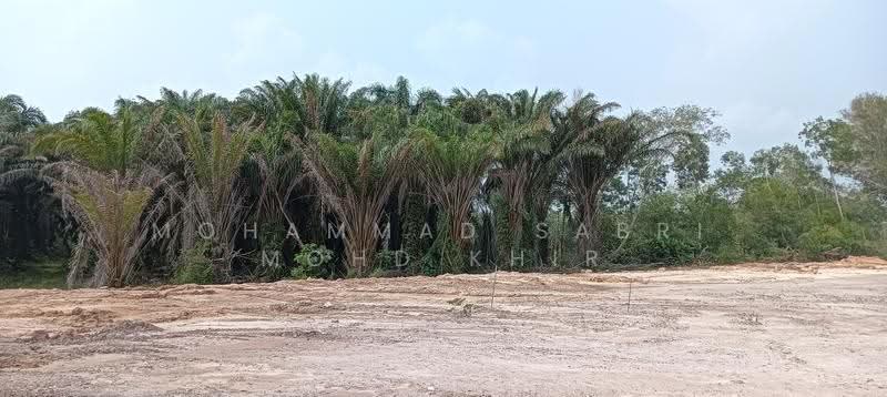 Residential Land for Sale in Dengkil (Selangor) - Mohammad Sabri Mohd Khir - Area lot of bungalows - PropertyGuru.com.my