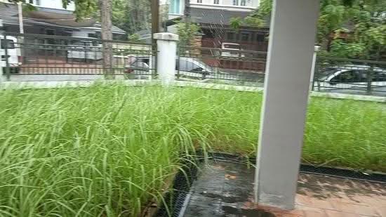 2-storey Terraced House for Sale in Seksyen 4 (Kota Damansara) - Jocelyn Lai - PropertyGuru.com.my