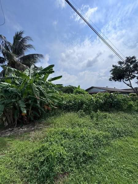 Tanah Pertanian untuk Dijual di Taman Sri Aman (Pontian) - Yvonne Lim - PropertyGuru.com.my