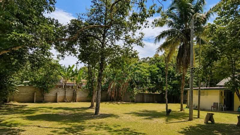 Tanah Kediaman untuk Dijual di Janda Baik (Bentong) - AIMAN ZUHDI - PropertyGuru.com.my