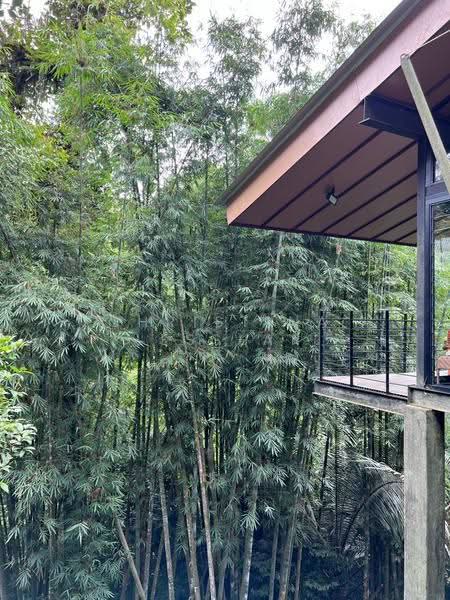 Bungalow House for Sale in Bentong (Pahang) - Christina Lesslar - Exterior - PropertyGuru.com.my