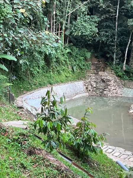 Bungalow House for Sale in Bentong (Pahang) - Christina Lesslar - Fish Pond - PropertyGuru.com.my