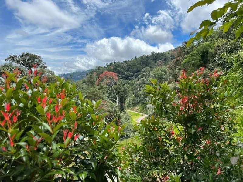 Bungalow House for Sale in Bentong (Pahang) - Christina Lesslar - PropertyGuru.com.my