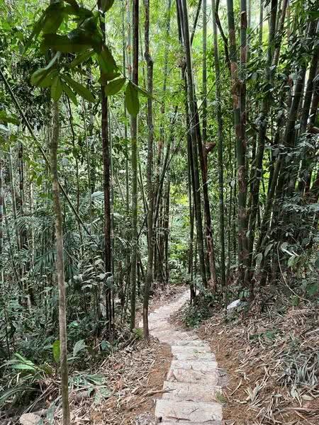 Bungalow House for Sale in Bentong (Pahang) - Christina Lesslar - PropertyGuru.com.my