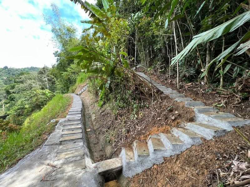 Bungalow House for Sale in Bentong (Pahang) - Christina Lesslar - Garden Walkway - PropertyGuru.com.my