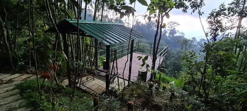 Bungalow House for Sale in Bentong (Pahang) - Christina Lesslar - Patio and Terrace - PropertyGuru.com.my