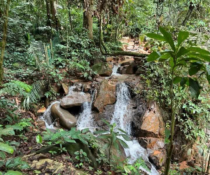 Bungalow House for Sale in Bentong (Pahang) - Christina Lesslar - A Tranquil Stream Flowing - PropertyGuru.com.my
