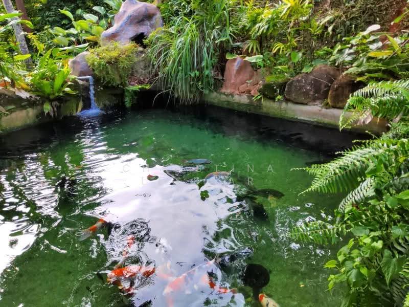Rumah Banglo untuk Dijual di Bentong (Pahang) - Christina Lesslar - Outdoor Fish Pond - PropertyGuru.com.my