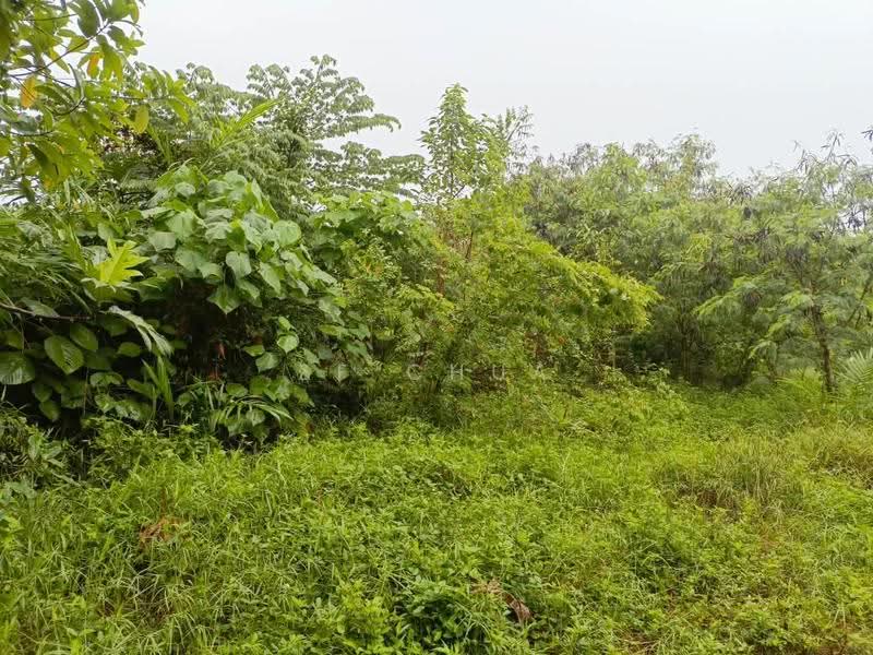 Residential Land for Sale in Puchong (Selangor) - ZF Chua - PropertyGuru.com.my