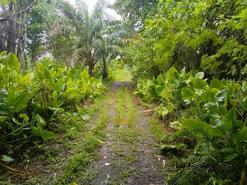 Residential Land for Sale in Puchong (Selangor) - ZF Chua - PropertyGuru.com.my