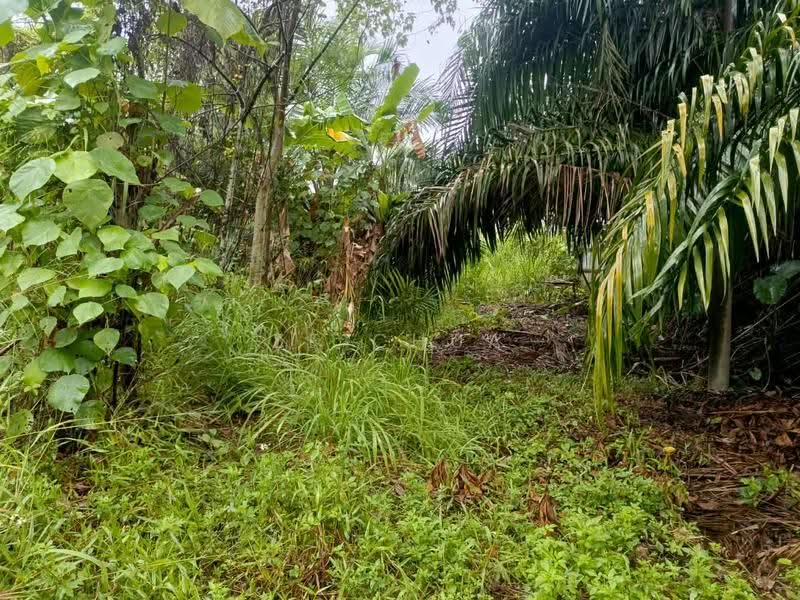 Residential Land for Sale in Puchong (Selangor) - ZF Chua - PropertyGuru.com.my