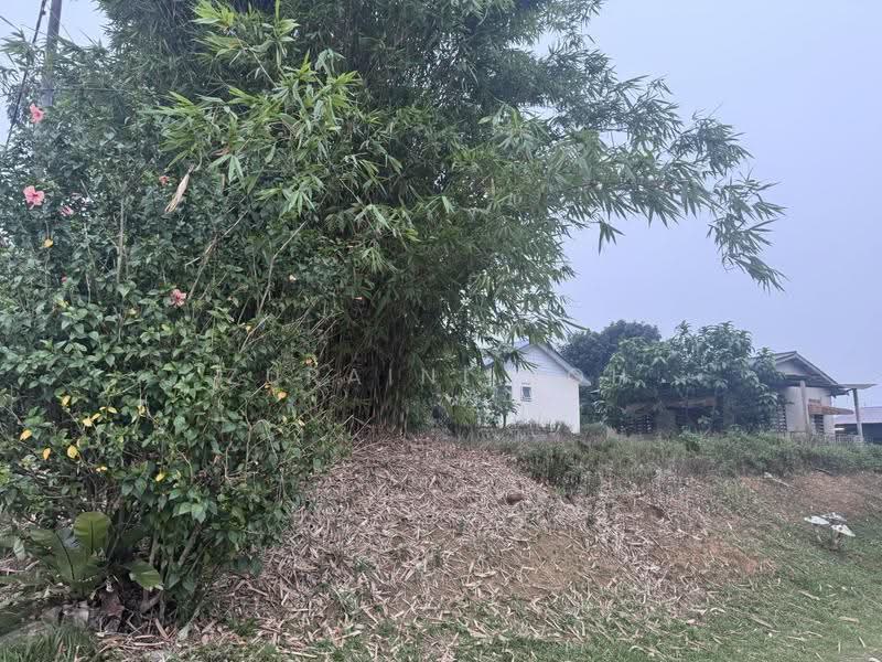Agricultural Land for Sale in Shah Alam (Selangor) - Zuraini Soh - Exterior - PropertyGuru.com.my