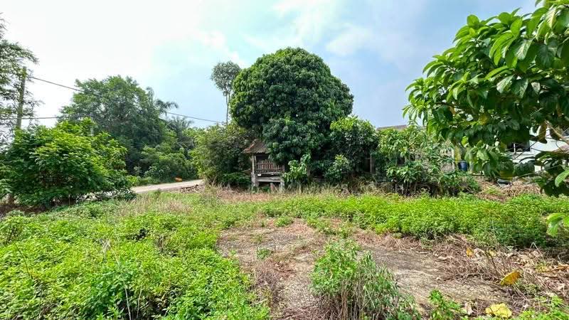 Agricultural Land for Sale in Shah Alam (Selangor) - Zuraini Soh - Exterior - PropertyGuru.com.my