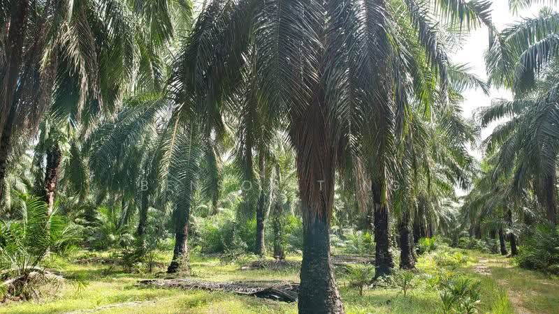 Tanah Kediaman untuk Dijual di Kapar (Selangor) - Benson Ting - PropertyGuru.com.my