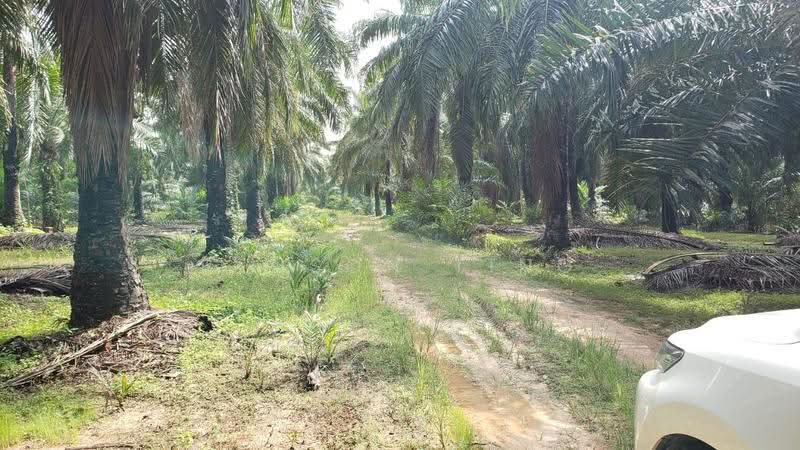 Tanah Kediaman untuk Dijual di Kapar (Selangor) - Benson Ting - PropertyGuru.com.my