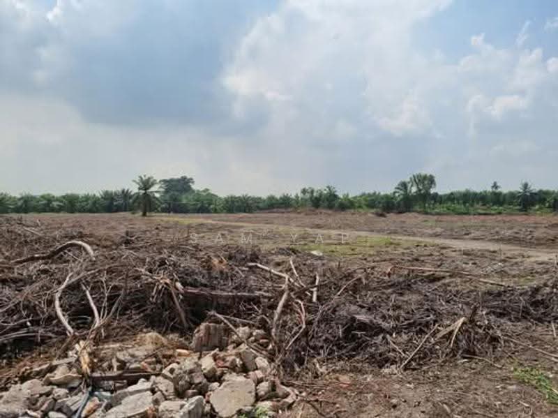 Agricultural Land for Sale in Telok Panglima Garang (Selangor) - Sam Yap - Exterior - PropertyGuru.com.my