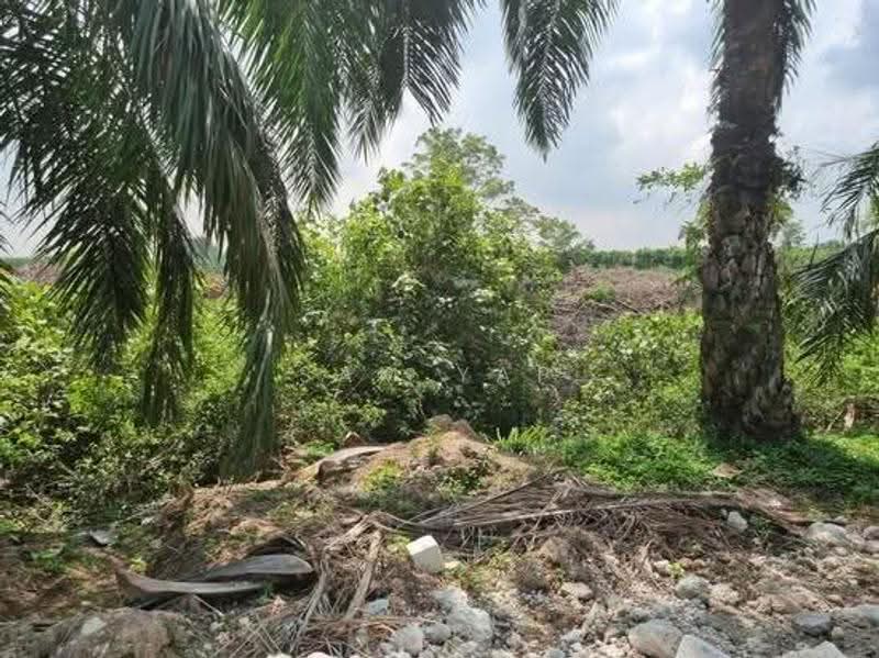 Agricultural Land for Sale in Telok Panglima Garang (Selangor) - Sam Yap - Exterior - PropertyGuru.com.my