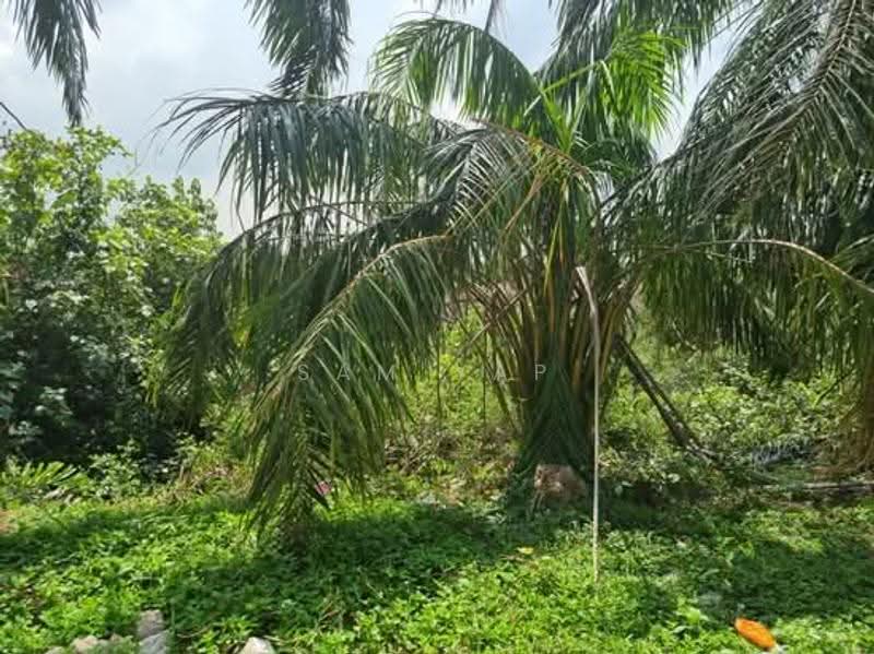 Agricultural Land for Sale in Telok Panglima Garang (Selangor) - Sam Yap - PropertyGuru.com.my