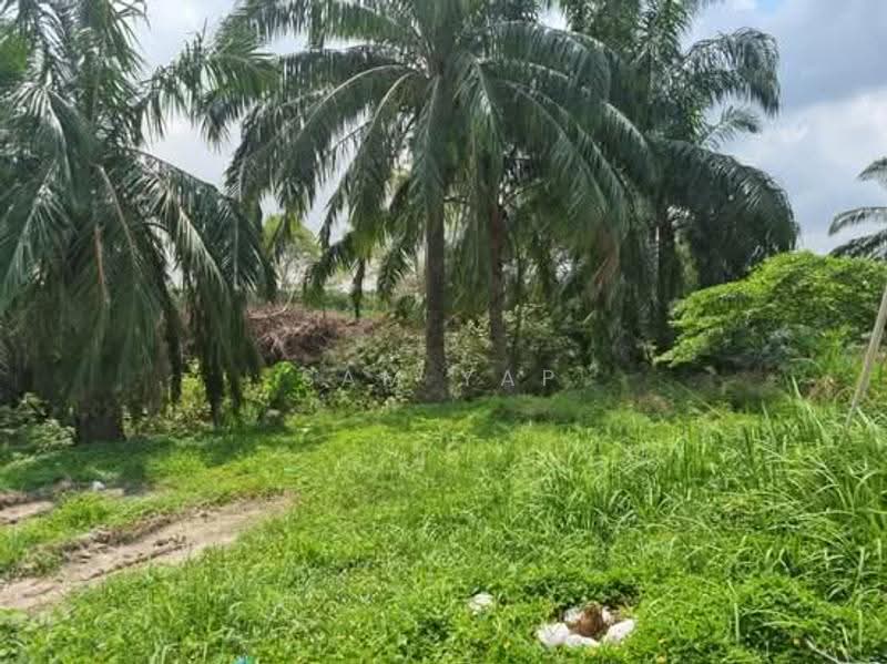 Agricultural Land for Sale in Telok Panglima Garang (Selangor) - Sam Yap - PropertyGuru.com.my