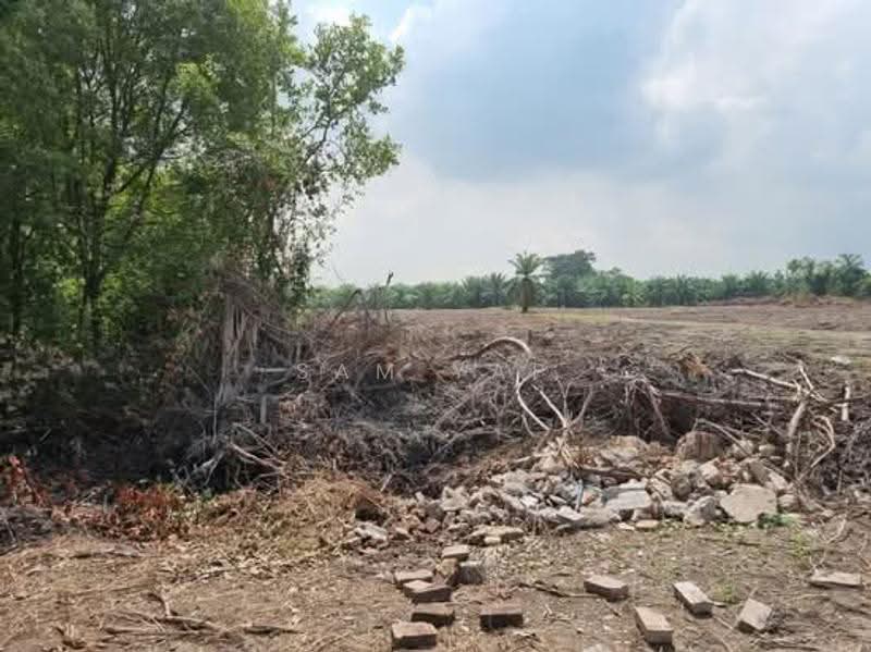 Agricultural Land for Sale in Telok Panglima Garang (Selangor) - Sam Yap - PropertyGuru.com.my