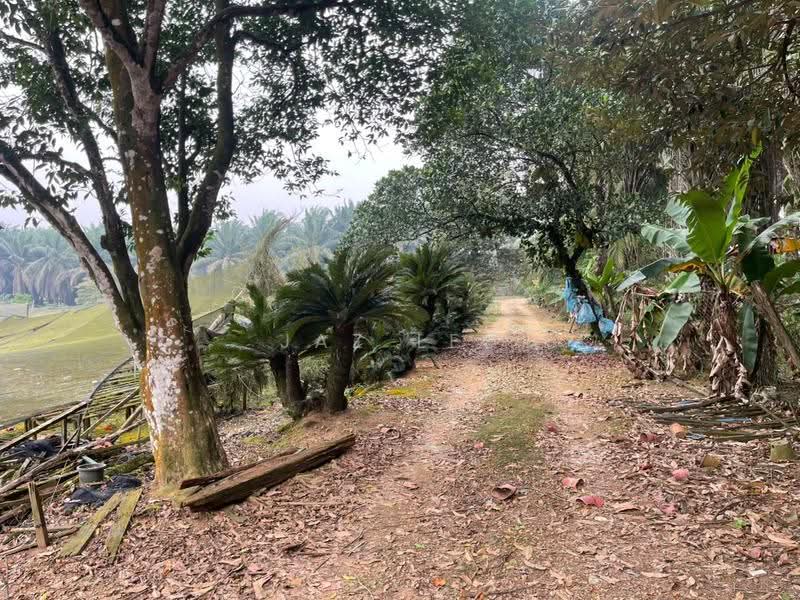 Industrial Land for Sale in Senai (Kulai) - Jaz Lee - PropertyGuru.com.my