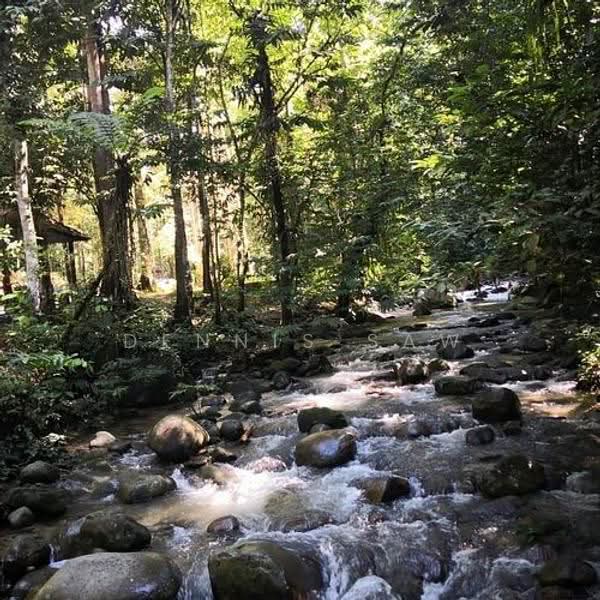 Hotel / Resort for Sale in Hulu Langat (Selangor) - Dennis Saw - PropertyGuru.com.my