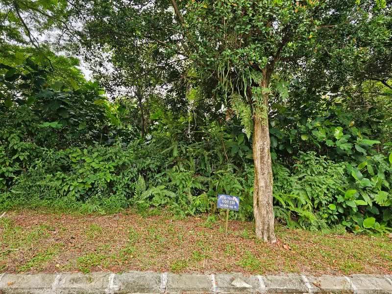 Tanah Kediaman untuk Dijual di Ledang Heights (Iskandar Puteri (Nusajaya)) - Will Lee - PropertyGuru.com.my