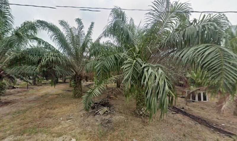 Agricultural Land for Sale in Kuala Selangor (Selangor) - Emily Kho - PropertyGuru.com.my