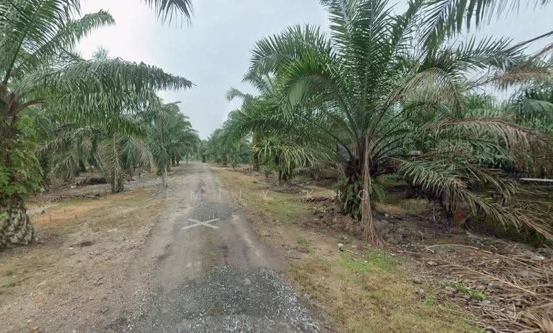 Agricultural Land for Sale in Kuala Selangor (Selangor) - Emily Kho - PropertyGuru.com.my