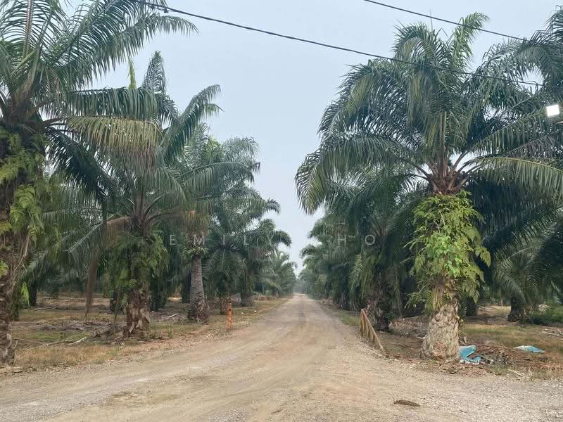 Agricultural Land for Sale in Kuala Selangor (Selangor) - Emily Kho - PropertyGuru.com.my