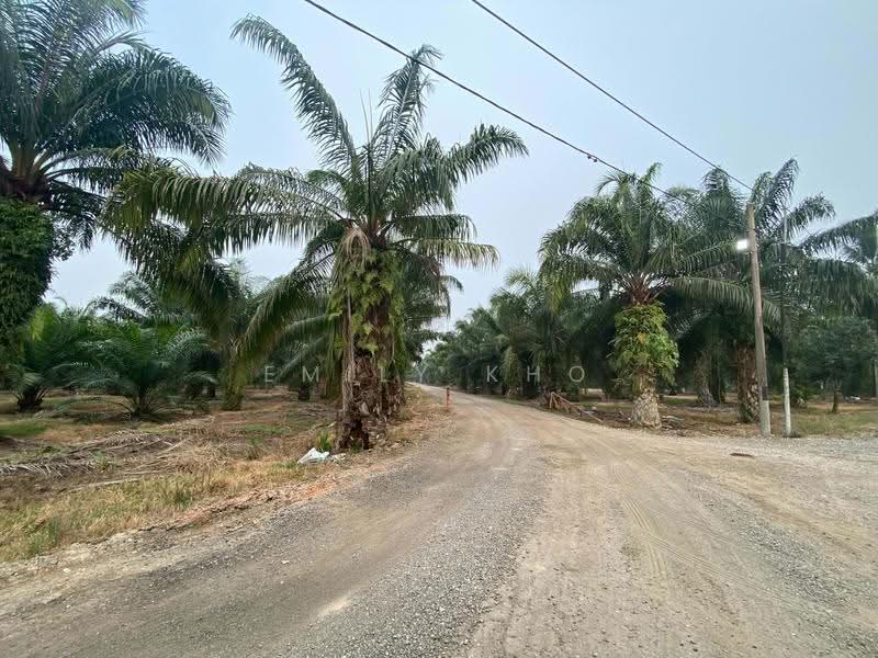 Agricultural Land for Sale in Kuala Selangor (Selangor) - Emily Kho - Exterior - PropertyGuru.com.my