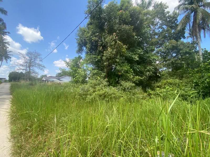 Commercial Land for Sale in Kuantan (Pahang) - Izzat Azman - PropertyGuru.com.my