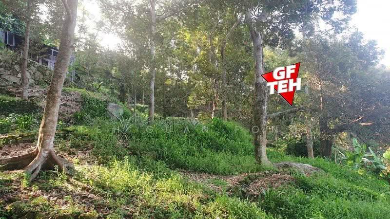 Agricultural Land for Sale in Balik Pulau (Penang) - Teh Guan Fong - PropertyGuru.com.my