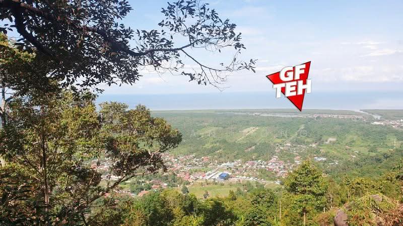 Agricultural Land for Sale in Balik Pulau (Penang) - Teh Guan Fong - PropertyGuru.com.my